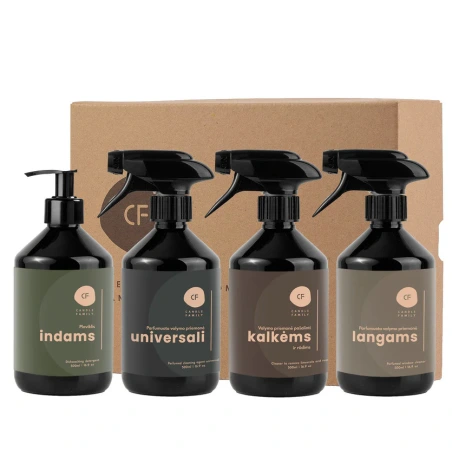 Valymo priemonių rinkinys „Galingas ketvertas“