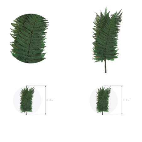 Stabilizuotas papartis, žalios spalvos, 1 pak. - 10 vnt.