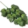 Artificial Rose Leaves on Stem, H 56 cm