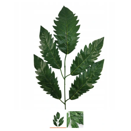 Artificial Leaf
