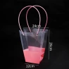 Pink Transparent Gift Bag, 24×12×26 cm