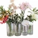 Transparent Polyethylene Vase, 12×40 cm