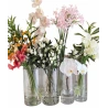 Transparent Polyethylene Vase, 18×50 cm