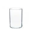 Transparent Polyethylene Vase, 12×40 cm