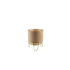 Plant Pot