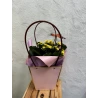 Gift Bag, 17×11.5×20 cm, Pink Color