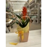 Gift Bag, 15.5 × 13 × 9.5 cm, Peach