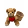 Teddy Bear With Planter, 18×12×25 cm