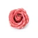 Gaiši ķiršu krāsas ziepju roze, Ø 6 cm