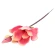 Mākslīgā magnolija, rozā, krēmkrāsas, h-36 cm