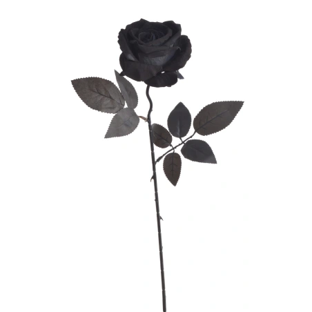 Velvet Rose, 51 cm, Black Color