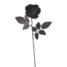 Velvet Rose, 51 cm, Black Color