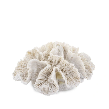 Decorative Ornament, 7×15×13 cm