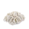 Decorative Ornament, 7×15×13 cm