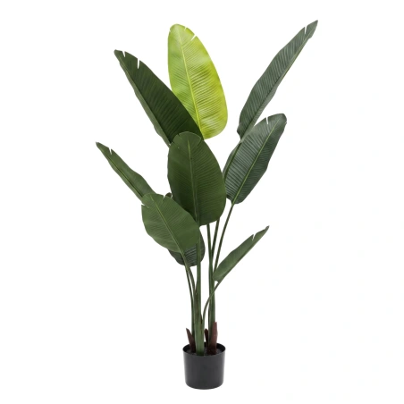 Dirbtinis augalas (strelicija) vazone, 110 cm