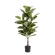 Artificial Potted Ficus Plant, 135 cm