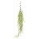 Hanging Greenery, 112 cm
