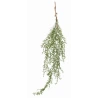 Kabanti žaluma, 112 cm