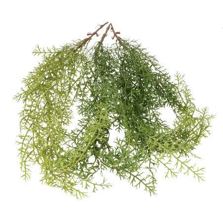 Kabanti žaluma, 112 cm