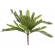 Dirbtiniai palmės lapai, 45 cm