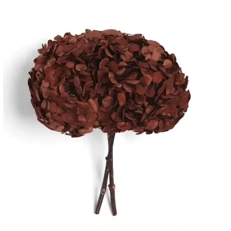 Stabilizuota hortenzija (Hydrangea), 15×20 cm, tamsiai raudonos spalvos