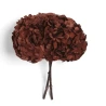 Stabilizēta hortenzija (Hydrangea), 15×20 cm, dark red