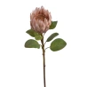 Protea Artificial Plant, 67 cm, Brown