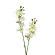 Dirbtinė gėlė orchidėja, 57 cm, baltos-žalsvos spalvos