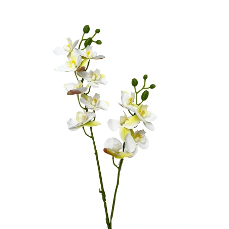 Artificial Orchid Flower, 57 cm, White-Green Color