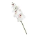 Dirbtinė gėlė orchidėja, 90 cm, baltos spalvos