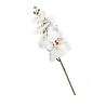 Artificial Orchid Flower, 90 cm, White Color
