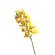 Dirbtinė gėlė orchidėja, 78 cm, citrinos-rožinės spalvos