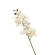 Dirbtinė gėlė orchidėja, 68 cm, baltos-geltonos spalvos