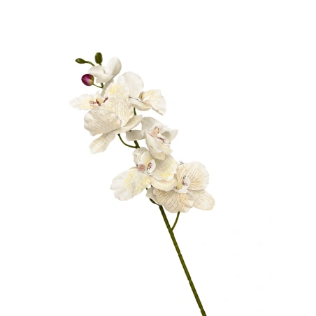 Dirbtinė gėlė orchidėja, 68 cm, baltos-geltonos spalvos