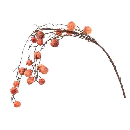 Dekoratyvinė šaka, su oranžinės spalvos vaisiais, 125 cm