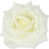 Rose Blooms, Ø14 × H 7 cm, 1 pk. – 6 pcs.