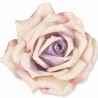 Rose Blooms, Ø14 × H 7 cm, 1 pk. – 6 pcs.