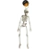 Halloween Decoration “Skeleton”, 45 cm