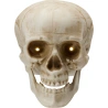 Skull Decoration with LED