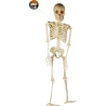 Skeleton Decoration with LED, 91 cm