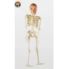 Skeleton Decoration with LED, 91 cm