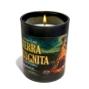 Scented Soy Wax Candle “TERRA INCOGNITA”, Wax – 210 g, Burns for 40 h