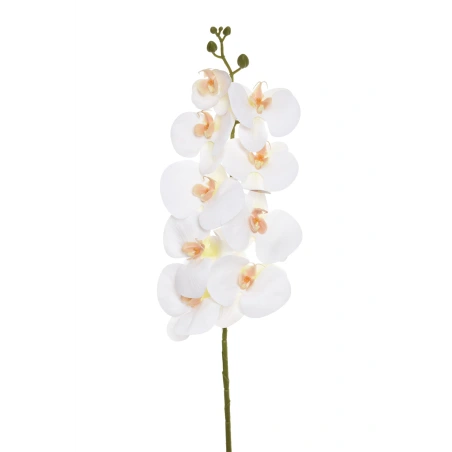 Orchid Branch, 97 cm, Cream