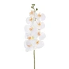 Orchidėjos šakelė, 97 cm, kreminės spalvos