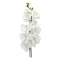 Orchid Branch, 97 cm, White
