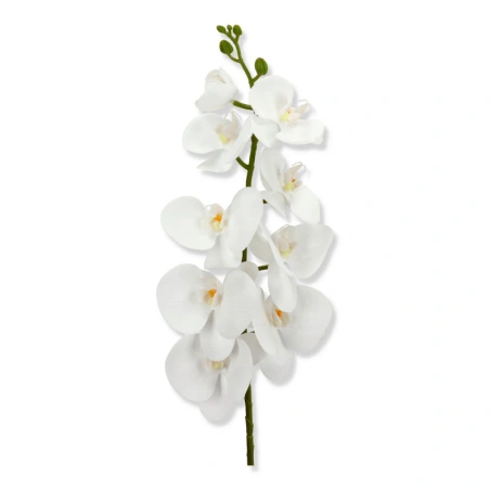 Orchidėjos šakelė, 97 cm, baltos spalvos