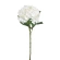 Hydrangea, 70 cm, White Color