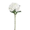 Hortenzija, 70 cm, baltos spalvos