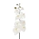 Dirbtinė orchidėja, 95 cm, baltos spalvos