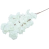 Apple Tree Branch, 90 cm